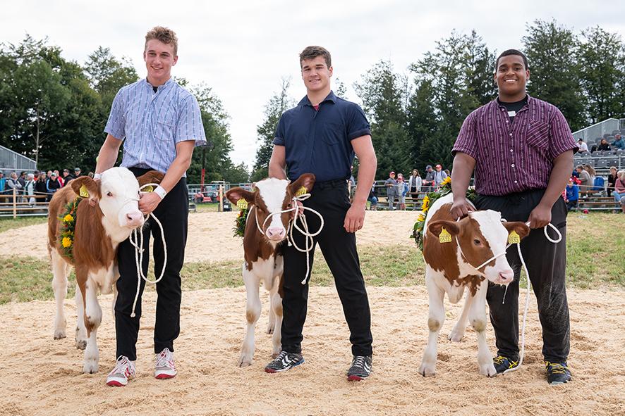 Die Katiegorienssieger des Eidgenössischen Nachwuchsschwingertags 2021 in Schwarzenburg (v.l.n.r.): Luca Müller, Daniel Tschumi und Sinisha Lüscher.